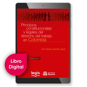 PRINCIPIOS CONSTITUCIONALES
